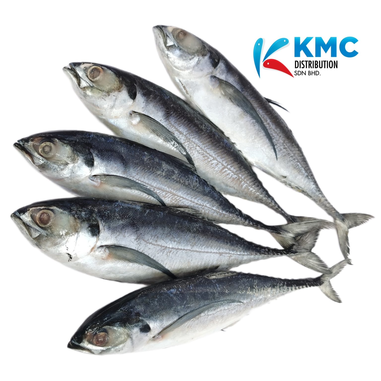 Saba Mackerel KMC Distribution Sdn Bhd